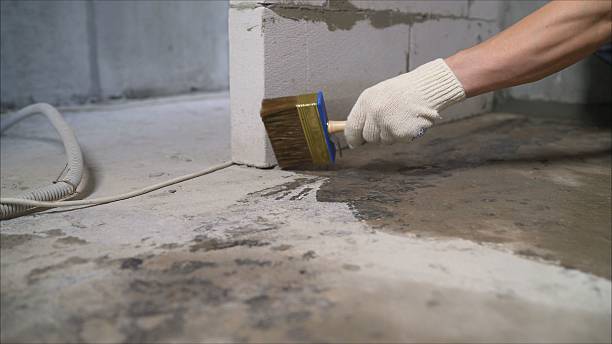 Top rated local Waterproofing specialists in Rockvale, TN